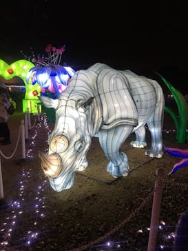 東武動物公園に投稿された画像（2020/12/24）