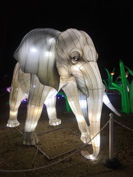 東武動物公園に投稿された画像（2020/12/24）