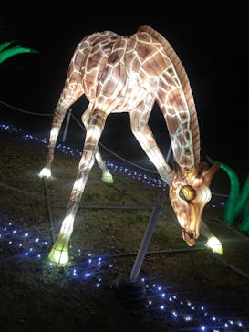 東武動物公園に投稿された画像（2020/12/24）