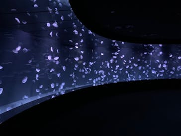 サンシャイン水族館に投稿された画像（2020/12/24）