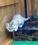 神戸どうぶつ王国に投稿された画像（2020/12/25）