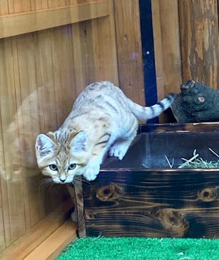 神戸どうぶつ王国に投稿された画像（2020/12/24）