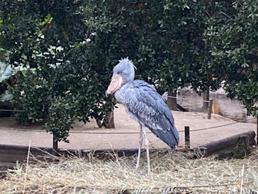 神戸どうぶつ王国に投稿された画像（2020/12/24）