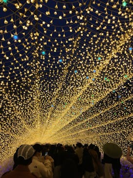 なばなの里に投稿された画像（2020/12/24）