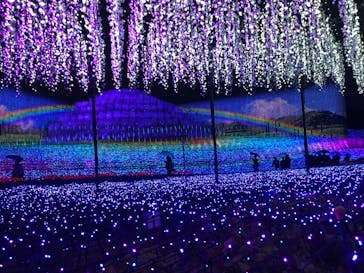 なばなの里に投稿された画像（2020/12/24）