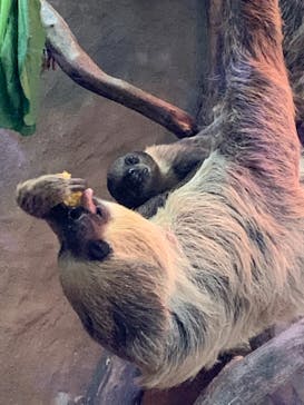 神戸どうぶつ王国に投稿された画像（2020/12/24）