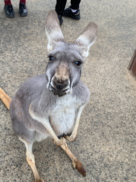 神戸どうぶつ王国に投稿された画像（2020/12/24）