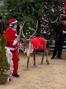 神戸どうぶつ王国に投稿された画像（2020/12/24）