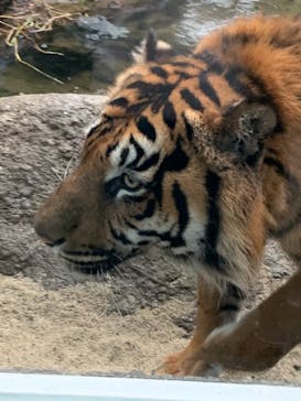 神戸どうぶつ王国に投稿された画像（2020/12/24）