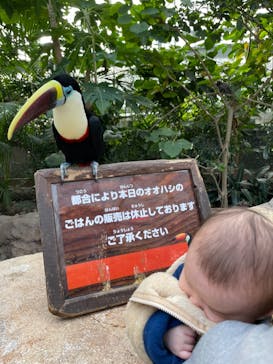 神戸どうぶつ王国に投稿された画像（2020/12/24）