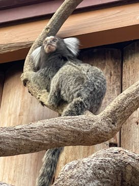 神戸どうぶつ王国に投稿された画像（2020/12/24）