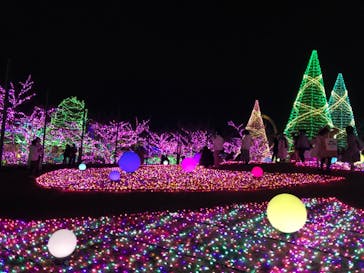 よみうりランド 遊園地に投稿された画像（2020/12/24）