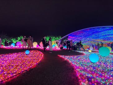 よみうりランド 遊園地に投稿された画像（2020/12/24）