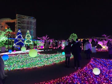 よみうりランド 遊園地に投稿された画像（2020/12/24）