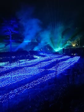 KYOTO ILLUMINATION SYNESTHESIA HILLS るり渓温泉に投稿された画像（2020/12/24）
