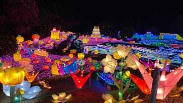 伊豆ぐらんぱる公園に投稿された画像（2020/12/25）