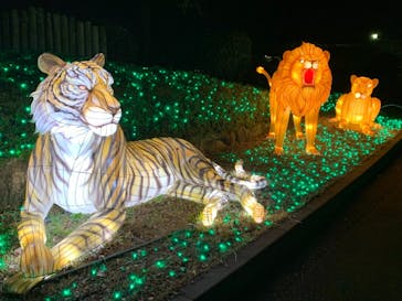 東武動物公園に投稿された画像（2020/12/25）