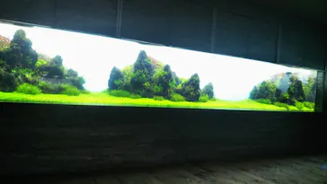 すみだ水族館に投稿された画像（2020/12/25）