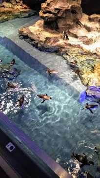 すみだ水族館に投稿された画像（2020/12/25）