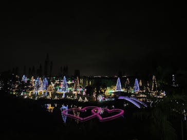 美らヤシパークオキナワ・東南植物楽園に投稿された画像（2020/12/25）