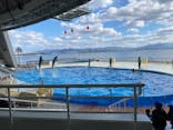 マリンワールド海の中道に投稿された画像（2020/12/25）