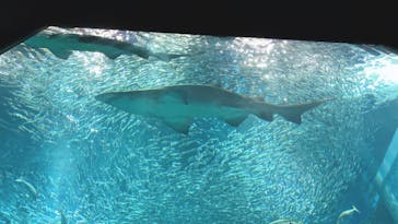 マリンワールド海の中道に投稿された画像（2020/12/25）