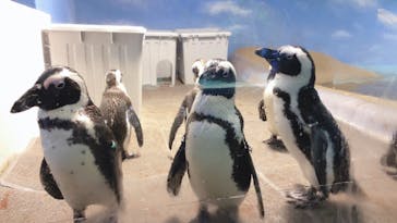 マリンワールド海の中道に投稿された画像（2020/12/25）