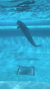 マリンワールド海の中道に投稿された画像（2020/12/25）