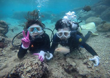 武藤潜水に投稿された画像（2020/12/25）