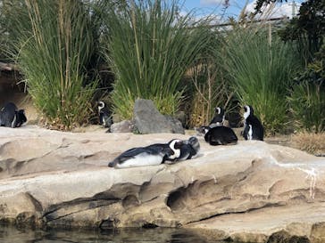 神戸どうぶつ王国に投稿された画像（2020/12/25）