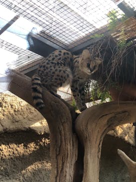 神戸どうぶつ王国に投稿された画像（2020/12/25）