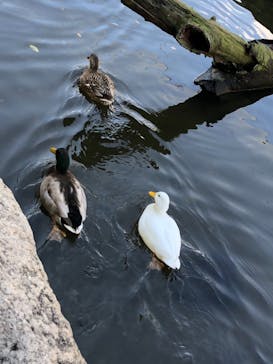 神戸どうぶつ王国に投稿された画像（2020/12/25）