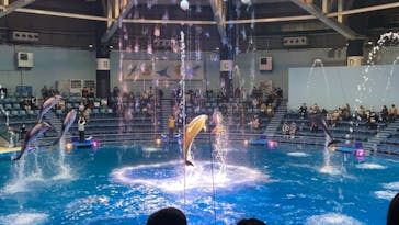 マクセル アクアパーク品川に投稿された画像（2020/12/25）