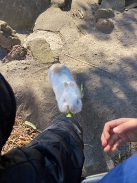 伊豆アニマルキングダムに投稿された画像（2020/12/25）