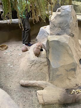 神戸どうぶつ王国に投稿された画像（2020/12/25）