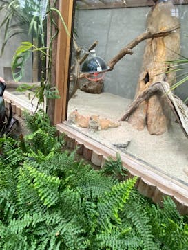 神戸どうぶつ王国に投稿された画像（2020/12/25）