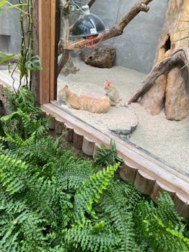 神戸どうぶつ王国に投稿された画像（2020/12/25）