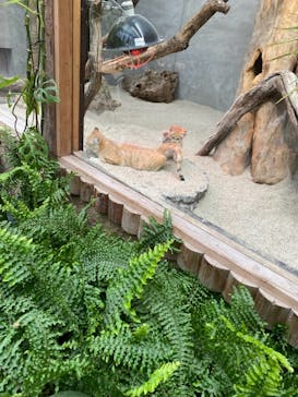 神戸どうぶつ王国に投稿された画像（2020/12/25）