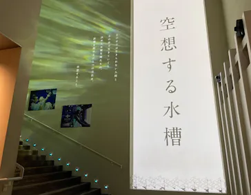 すみだ水族館に投稿された画像（2020/12/25）