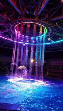 マクセル アクアパーク品川に投稿された画像（2020/12/25）