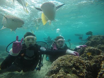 武藤潜水に投稿された画像（2020/12/25）