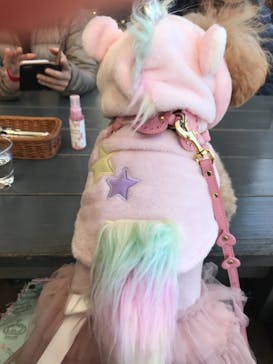 わんダフルネイチャーヴィレッジに投稿された画像（2020/12/25）