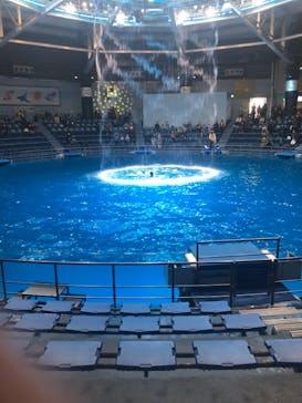 マクセル アクアパーク品川に投稿された画像（2020/12/25）