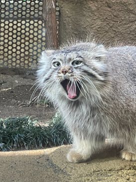 那須どうぶつ王国に投稿された画像（2020/12/25）