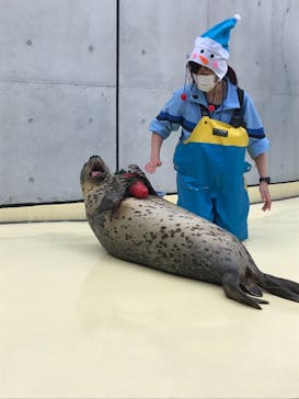 島根県立 しまね海洋館に投稿された画像（2020/12/25）
