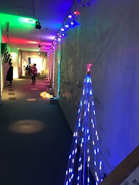 島根県立 しまね海洋館に投稿された画像（2020/12/25）