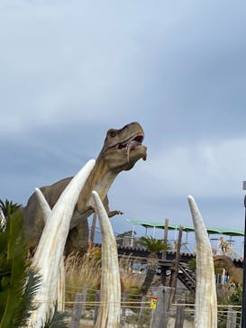 伊豆ぐらんぱる公園に投稿された画像（2020/12/25）