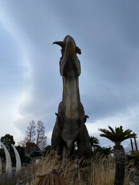 伊豆ぐらんぱる公園に投稿された画像（2020/12/25）