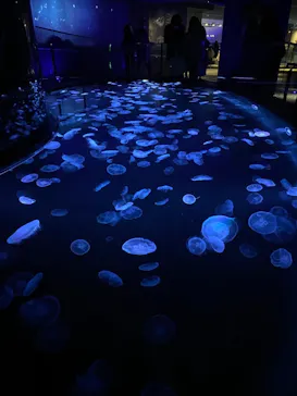 すみだ水族館に投稿された画像（2020/12/25）