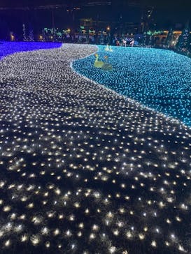 東武動物公園に投稿された画像（2020/12/25）